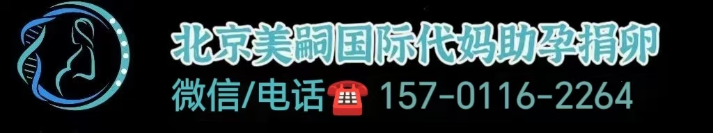 代怀孕上海助孕公司
